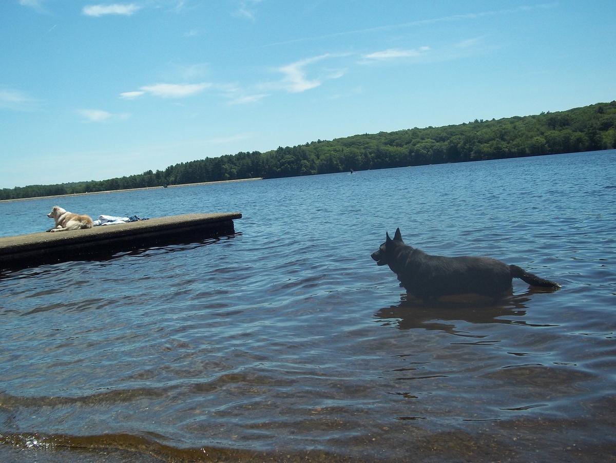 Hopkinton State Park