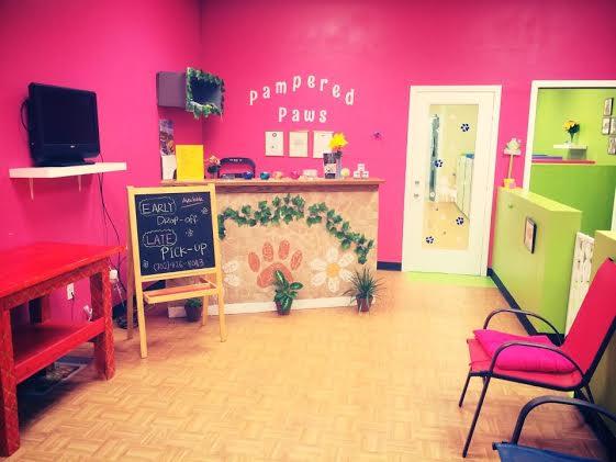 Pet Friendly Pampered Paws Grooming & Boarding