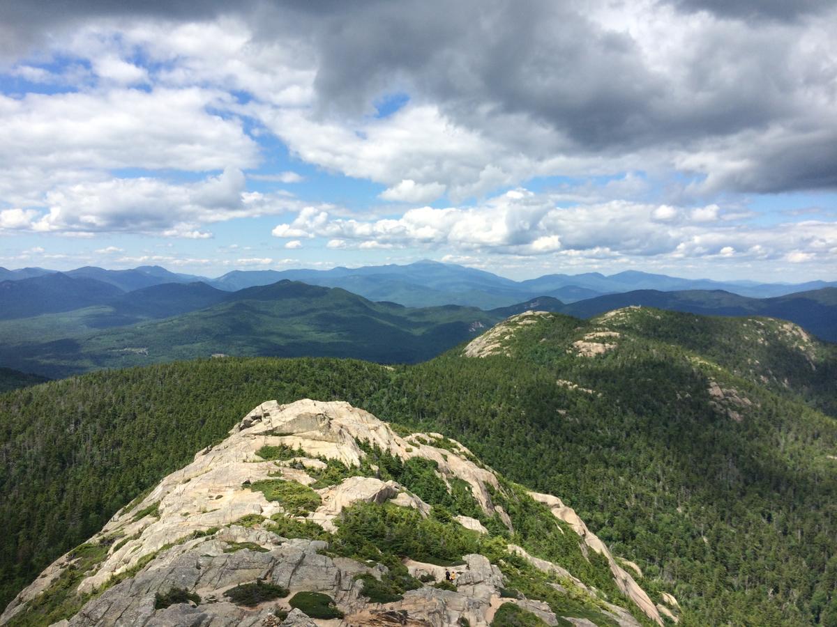 are dogs allowed hiking trails white mountains