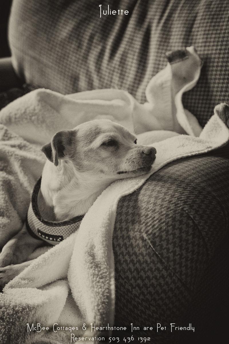 Mcbee Cottages Pet Policy