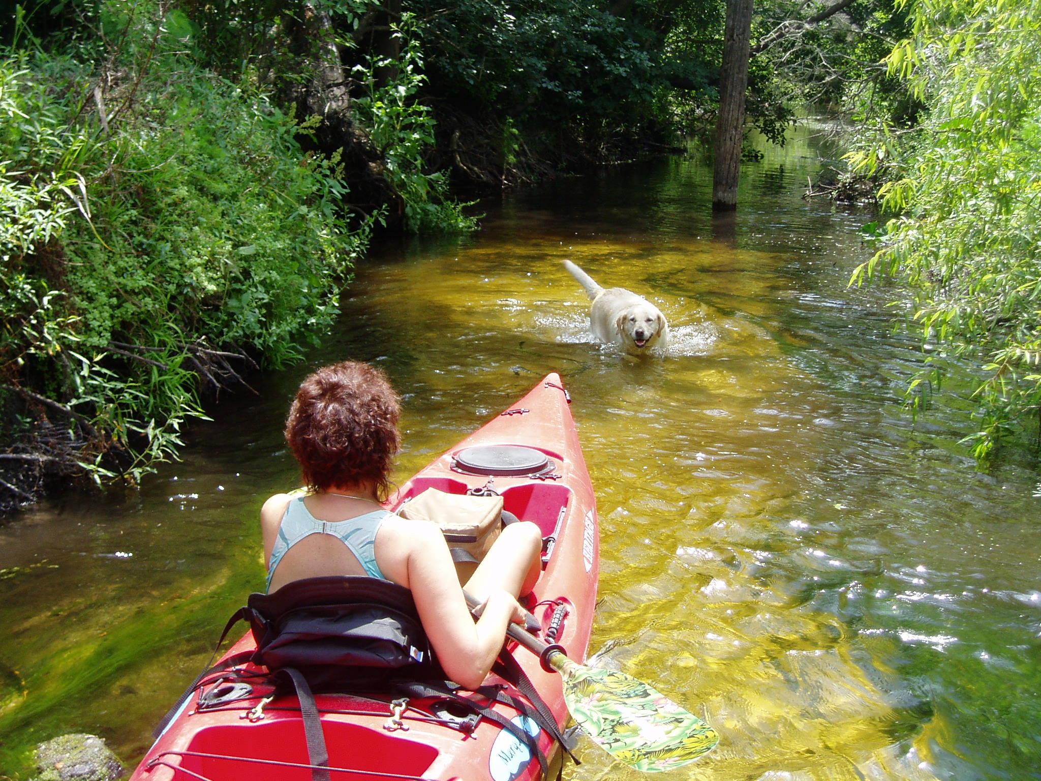 Pet Friendly Canoe Outpost - Little Manatee River