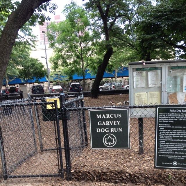 Pet Friendly Dog Run at Marcus Garvey Park