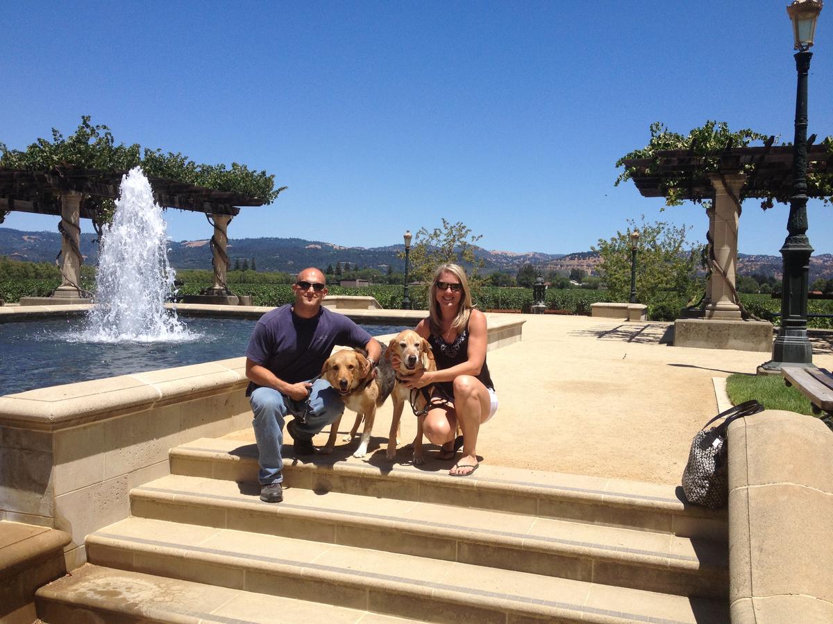 DogFriendly Wine Tours
