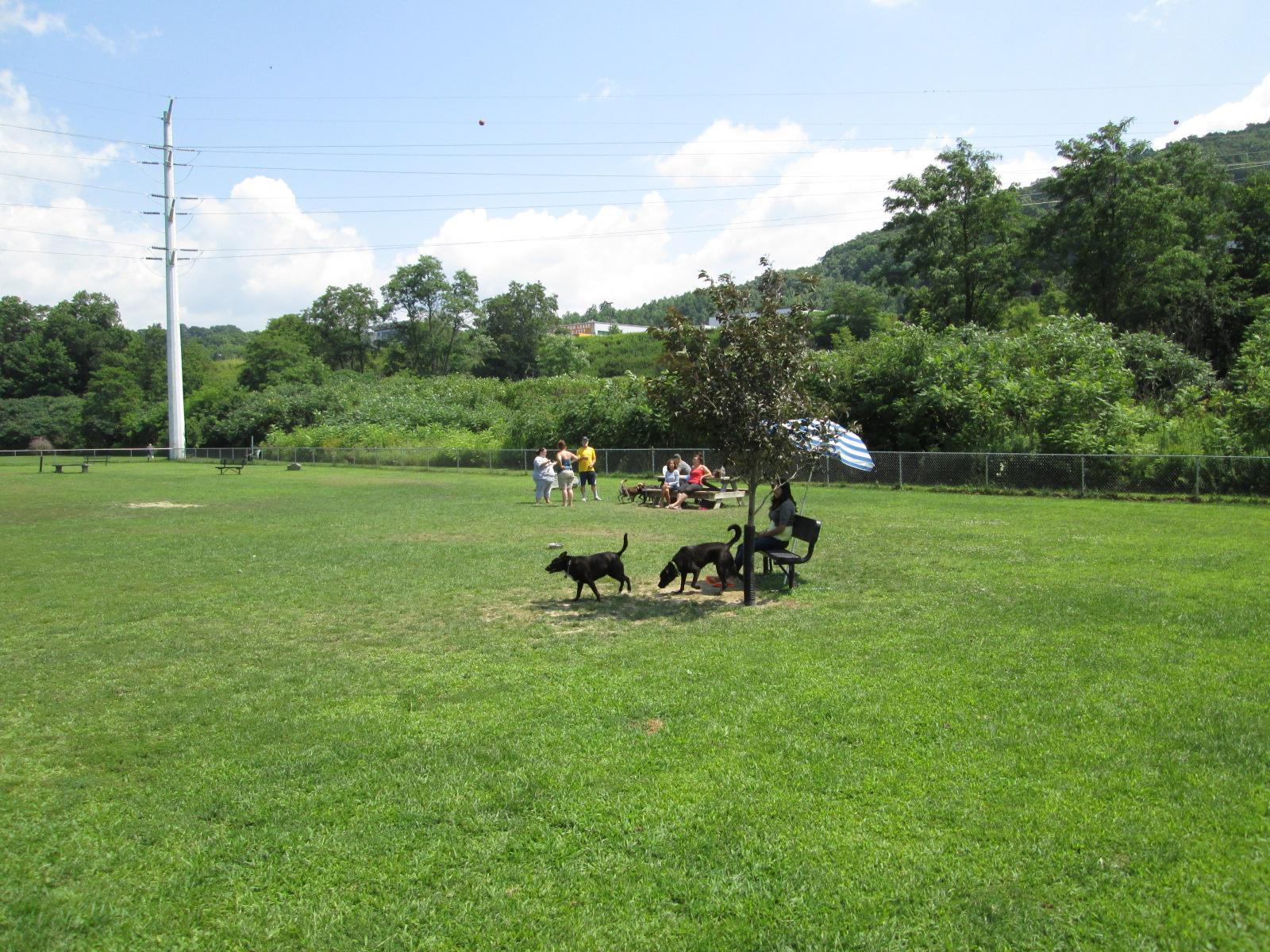 Pet Friendly Canine Commons Dog Park