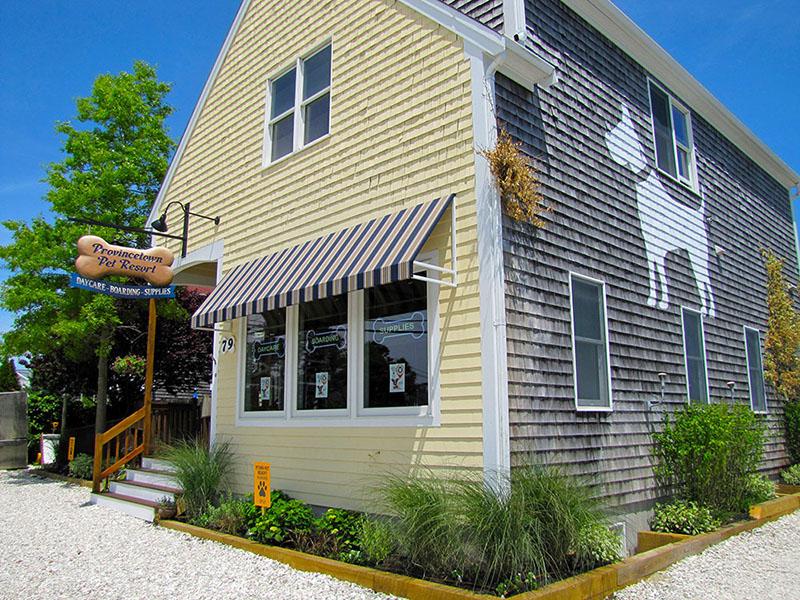 Provincetown Pet Resort Supplies