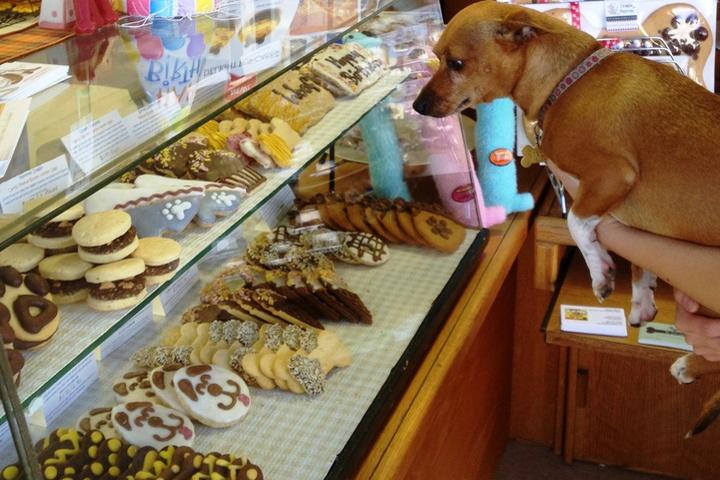 Pet Friendly Jackboy's Dog Bakery