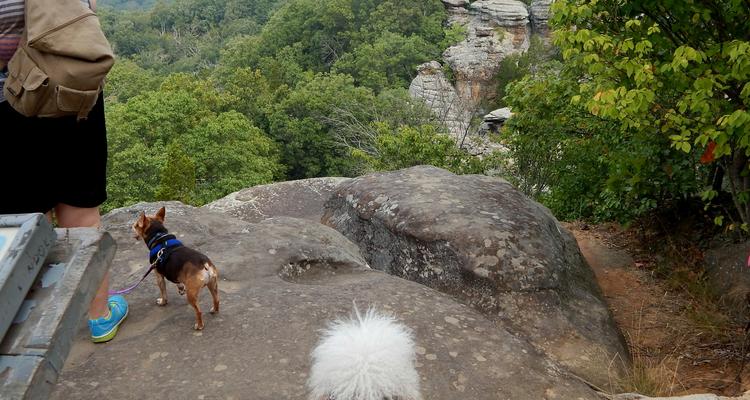 Shawnee National Forest