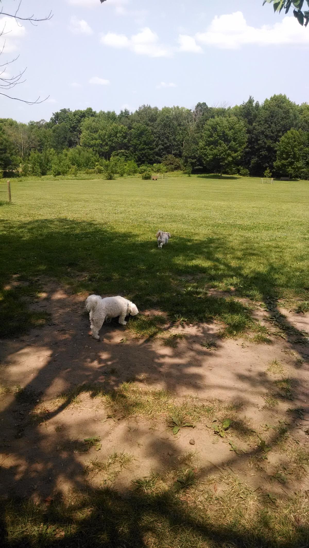 Minooka Dog Exercise Area