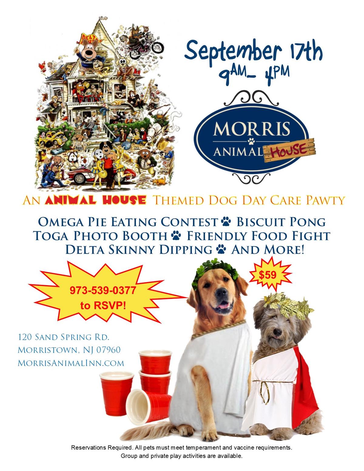 Morris Animal (Inn) House Toga Dog Daycare Party ⋆ BringFido