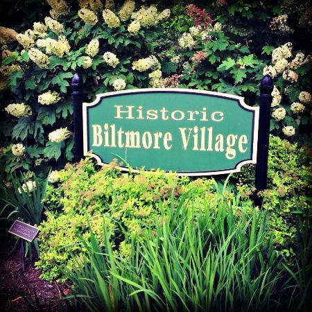 Pet Friendly Historic Biltmore Village
