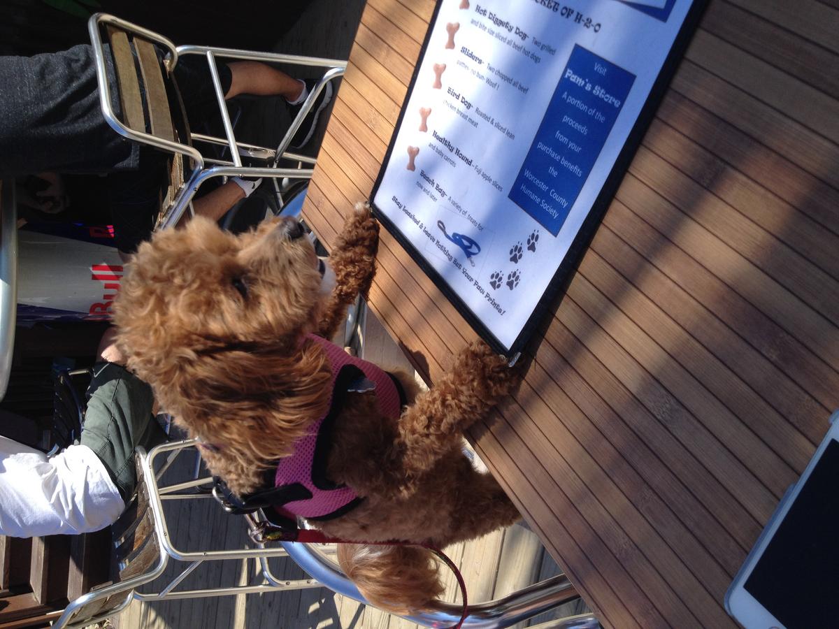 Opal checking out Macky's menu