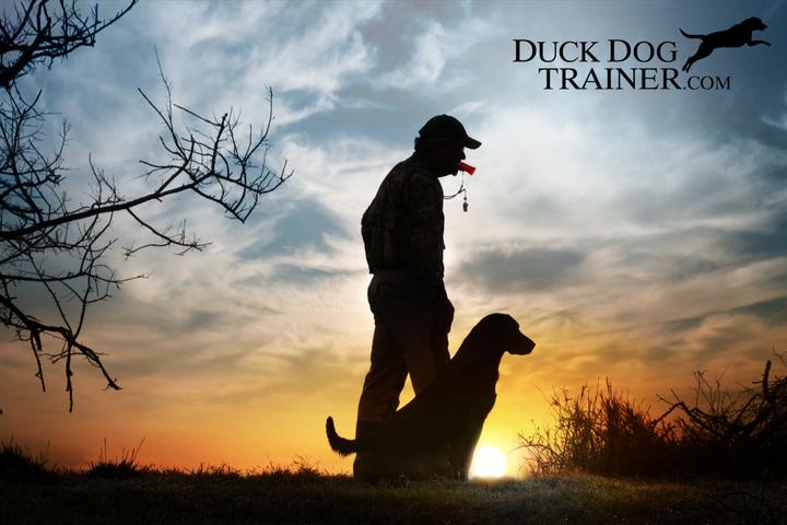 Pet Friendly Duck Dog Trainer