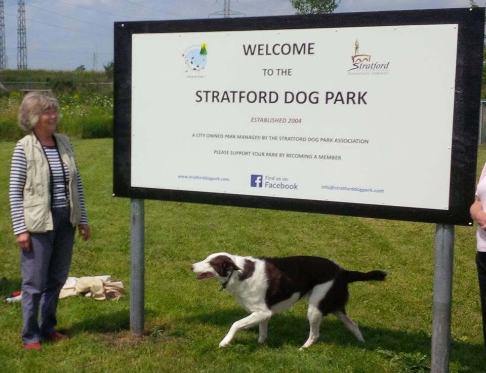 Pet Friendly Stratford Dog Park