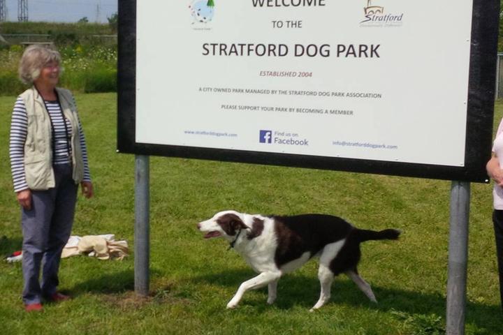 Pet Friendly Stratford Dog Park
