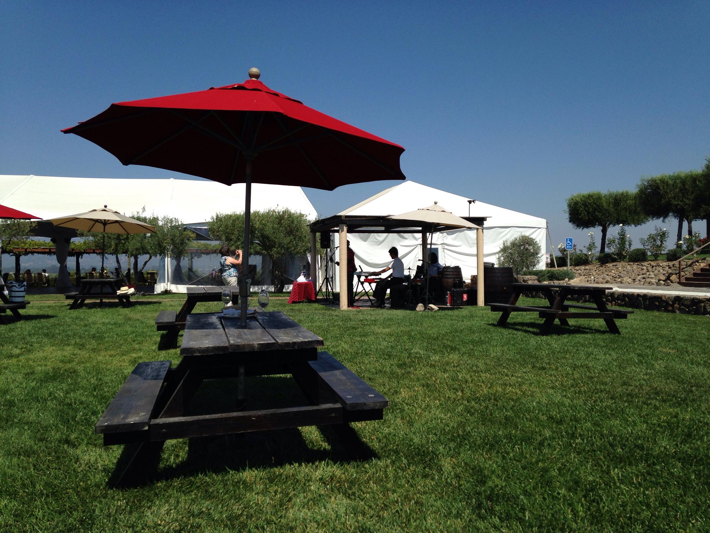 Pet Friendly Viansa Winery