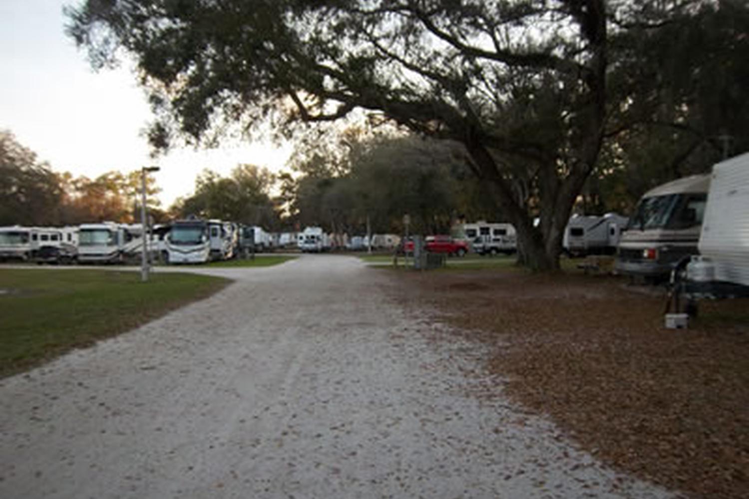 Gold Rock Rv Park Pet Policy Gold Rock Rv Park Pet Policy