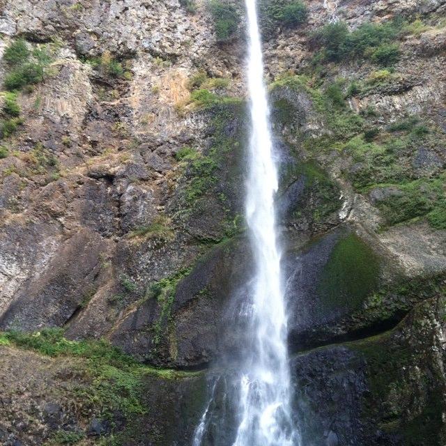 are dogs allowed at multnomah falls