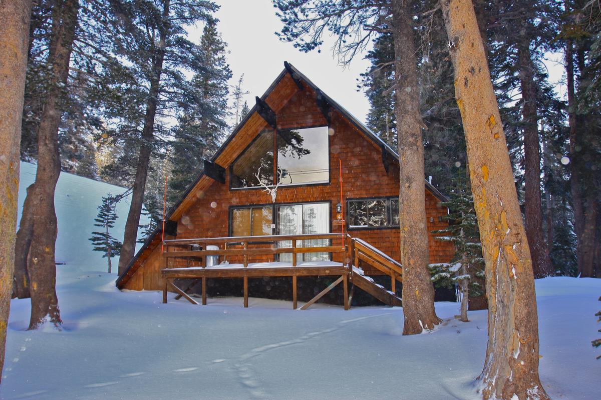 Mammoth Mountain Chalets Pet Policy