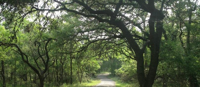 Park trails... Park trails...
