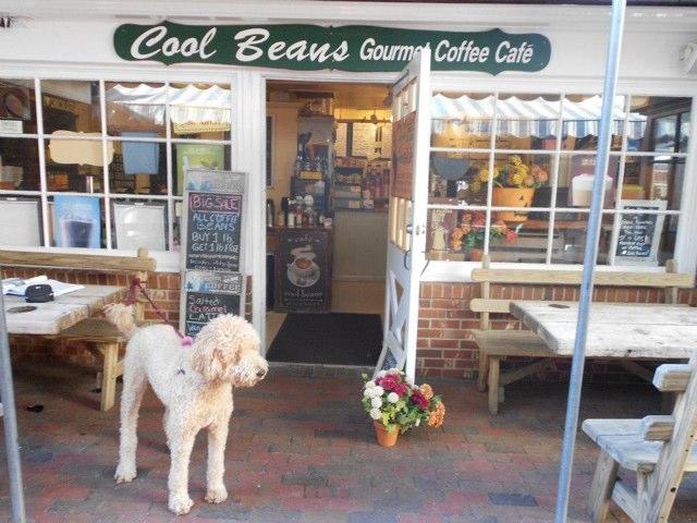Pet Friendly Cool Beans Coffee Shop