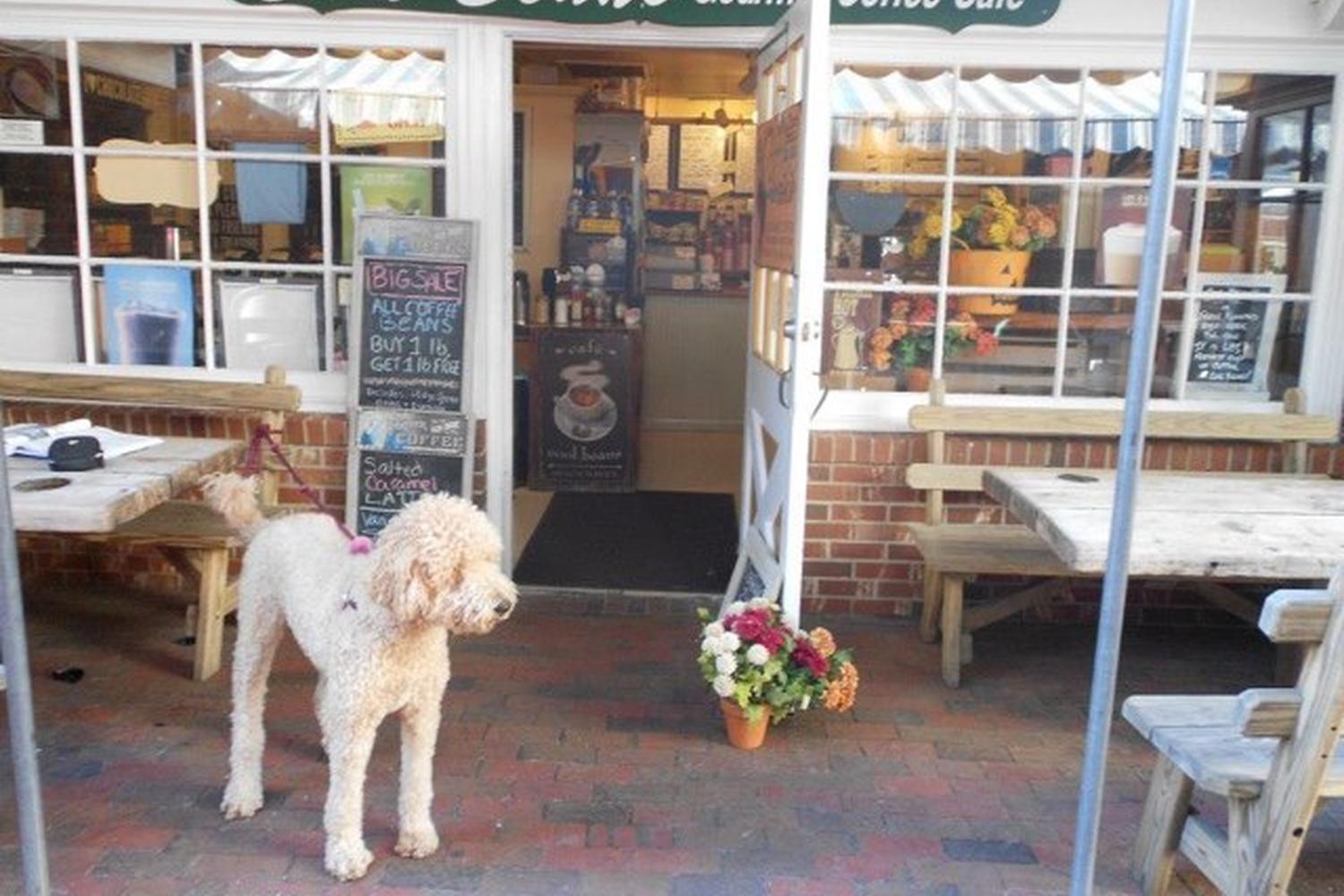 Cool Beans Coffee Shop Is Pet Friendly Cool Beans Coffee Shop Is Pet Friendly