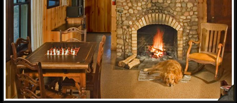Dog Friendly Hazelhurst, WI