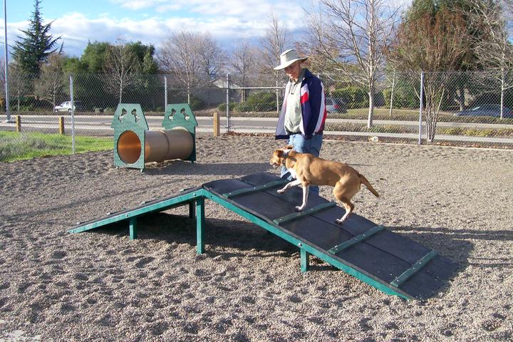 Dog Friendly Activities in Roseville, CA - BringFido