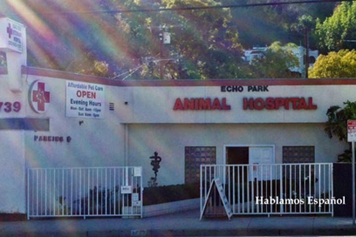 Pet Friendly Echo Park Veterinarian Hospital