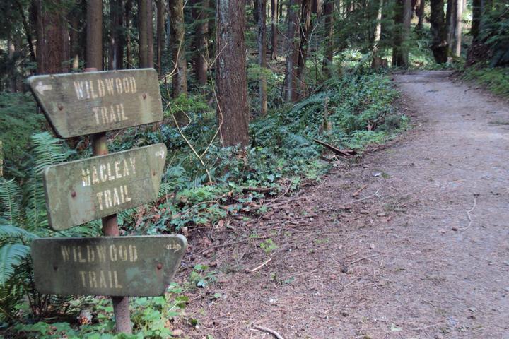 Pet Friendly Wildwood Trail, Forest Park