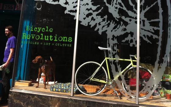 bicycle revolutions