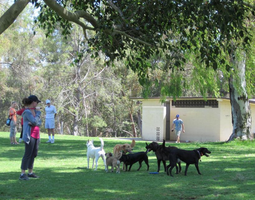Image result for san diego dog parks