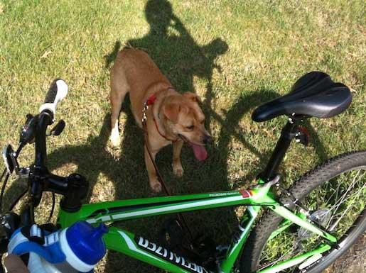 landry's bicycle