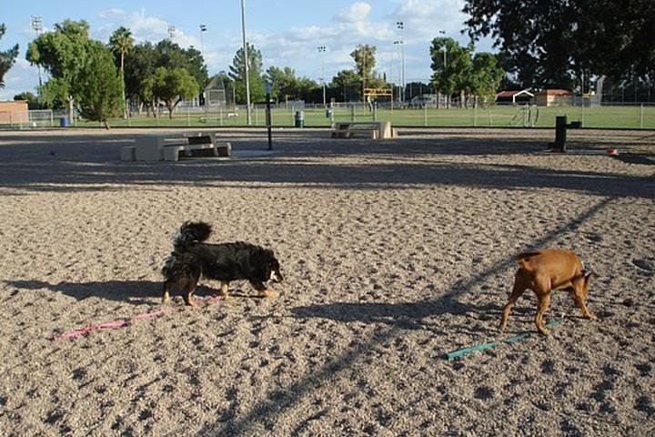 Pet Friendly Palo Verde Dog Park