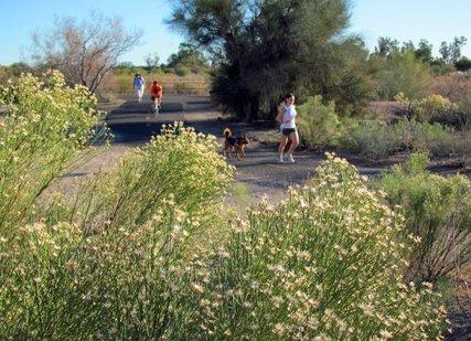 rillito chatrooms Find studio, 1, 2 and 3 bedroom apartments for rent at san remo in tucson view photos, descriptions and more. rillito chatrooms Find studio, 1, 2 and 3 bedroom apartments for rent at san remo in tucson view photos, descriptions and more.