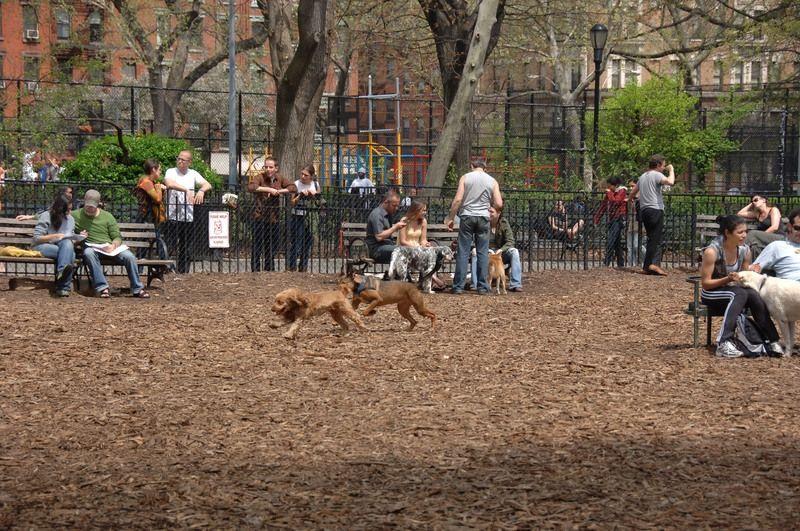 Pet Friendly Tompkins Square Dog Run