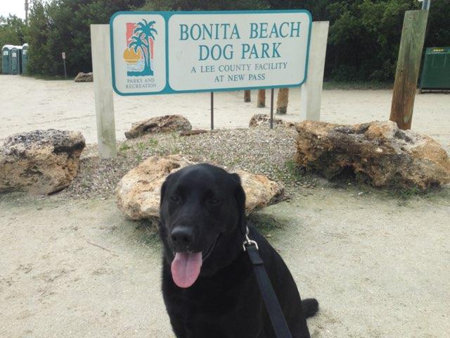 Pet Friendly Bonita Beach Dog Park