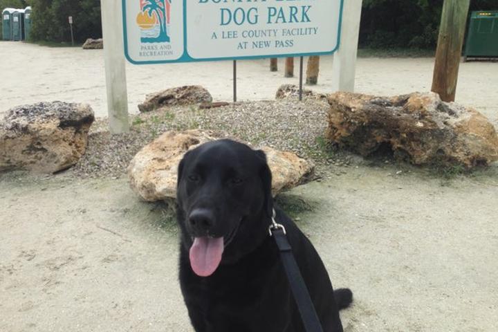 Pet Friendly Bonita Beach Dog Park