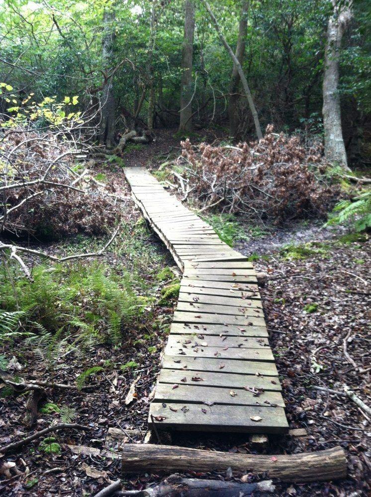 Point Woods Loop Trail Point Woods Loop Trail