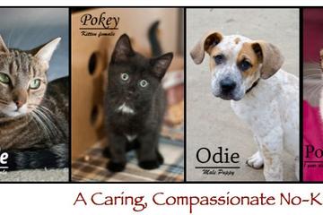 Animal Rescue League of Southern Rhode Island