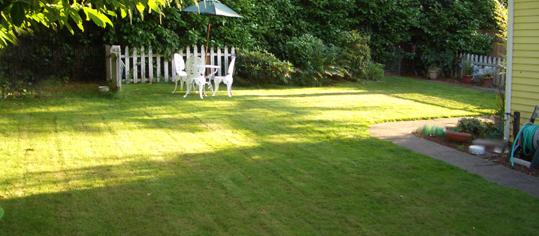 Lulu's B & B for dogs Lulu's B & B for dogs