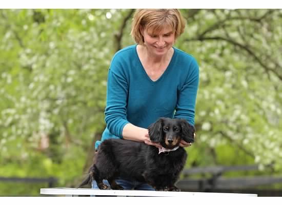 Pet Friendly Lifeforce Wellness Center/Animal Chiropractic