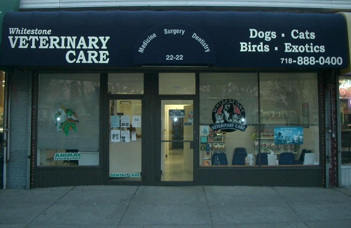 Bronx best sale animal hospital