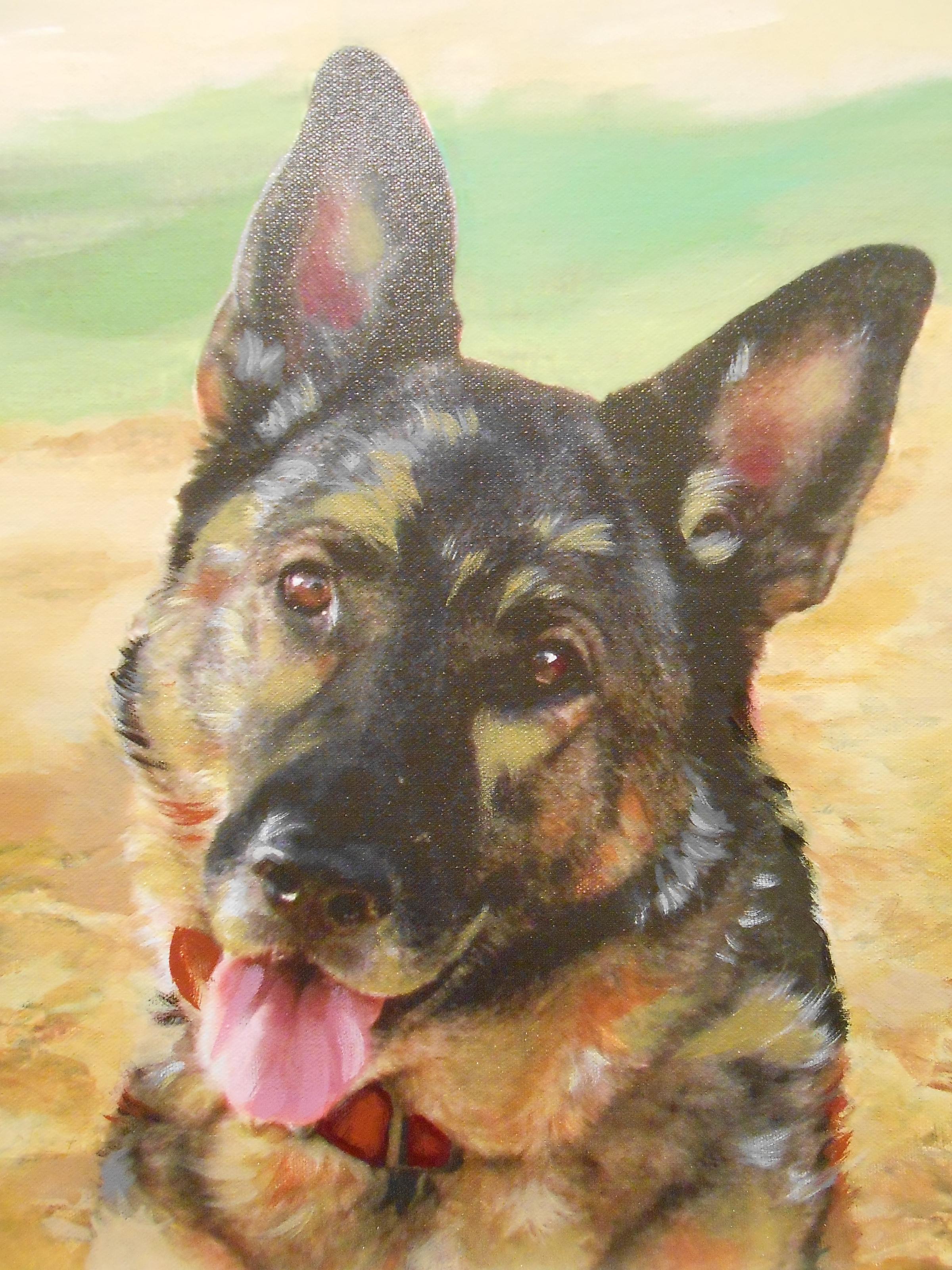 Pet Friendly Pet Portraits On Canvas