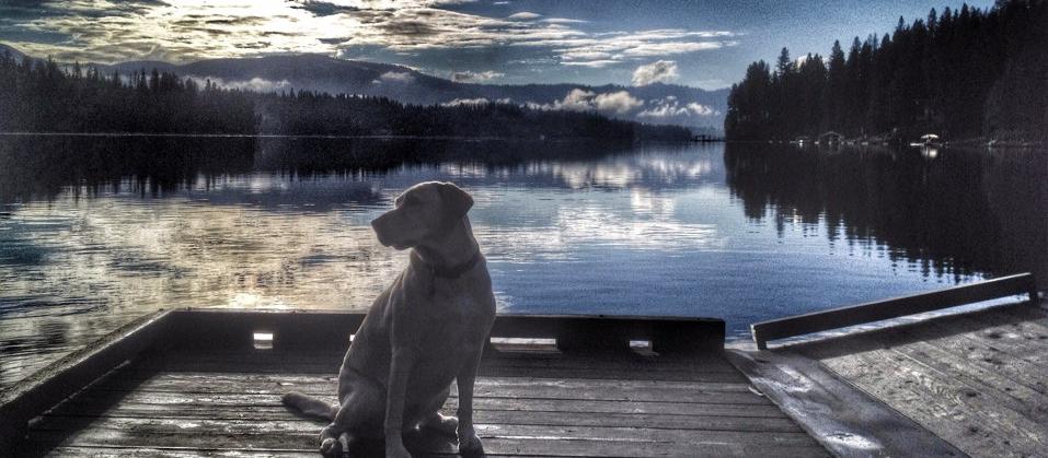 Dog Friendly Hayden, ID