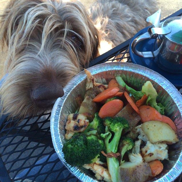 Pet Friendly Zorro's Cafe and Cantina