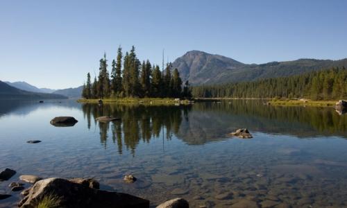 are dogs allowed at lake wenatchee state park