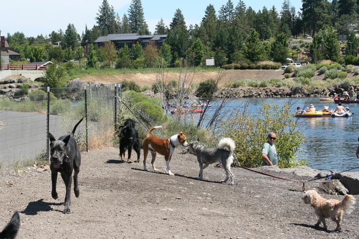 Pet Friendly Riverbend Beach Dog Park