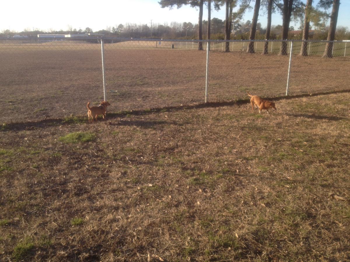 Dog Friendly Chesapeake, VA BringFido