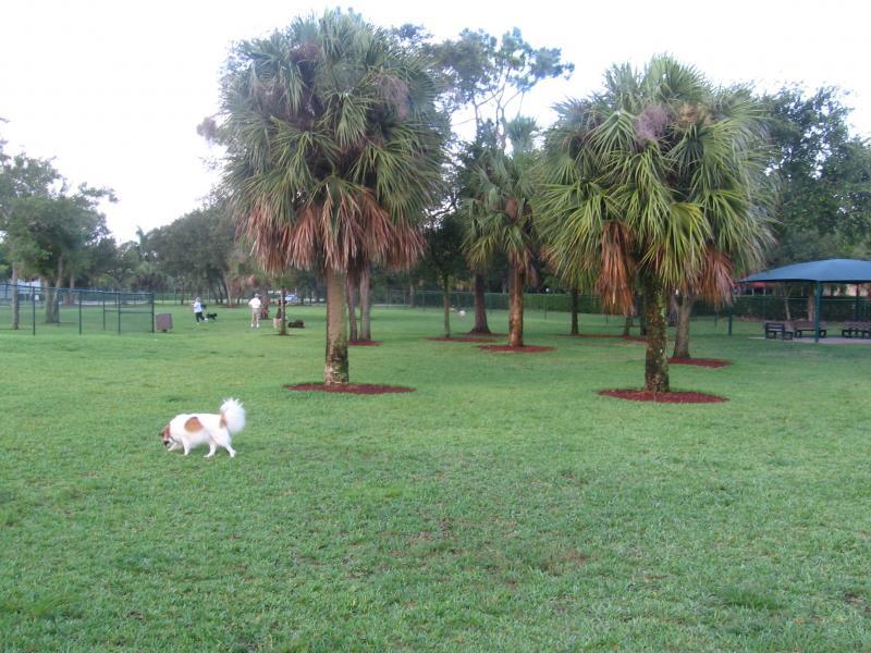 Pet Friendly Mizner Bark Dog Park