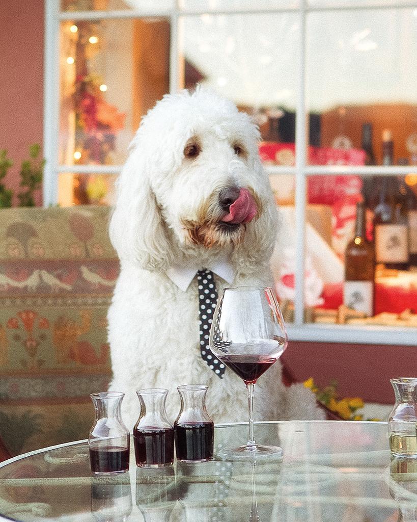 Arrowsmith's Wine Bar